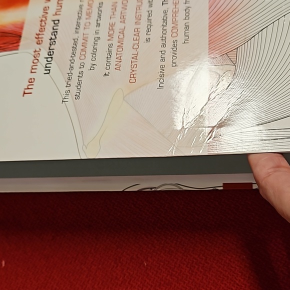 The Human Body Coloring Book the ultimate anatomy study guide 2011 DK reference - Picture 12 of 16